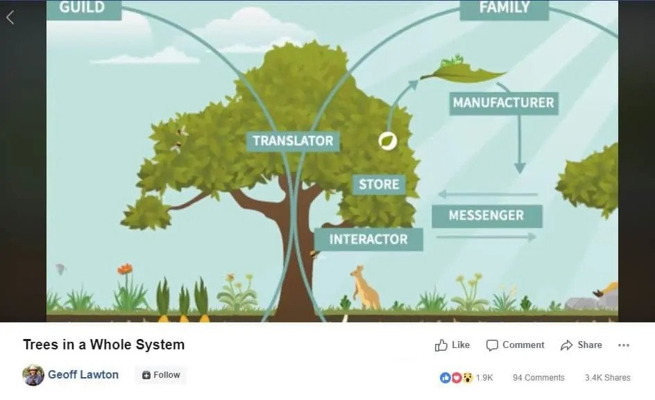 image 24 Combine Talking-head Videos and Animated Videos for Better Learning Outcomes