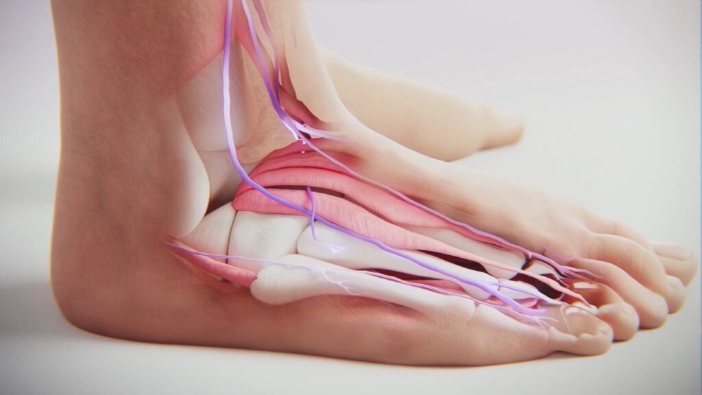 Scientific Animation Services: Random 42