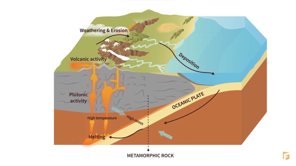 Scientific Animation Services: F. Learning Studio