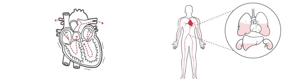 Medical Whiteboard Animation: Best Way to Improve Patient Education 3 image 15 Medical Whiteboard Animation: Best Way to Improve Patient Education