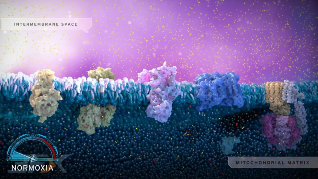 Scientific Animation Services: 3FX