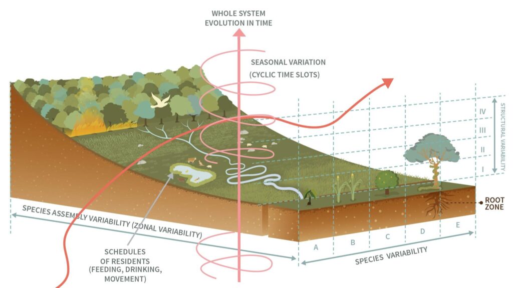 visualization of science animation