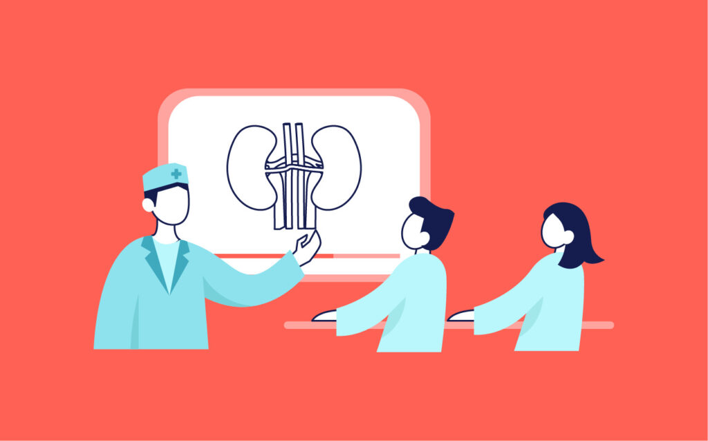 Medical Procedure Animation: A Thorough Guide with 4 Examples 1 A doctor explaining the anatomy of kidneys using a medical animation
