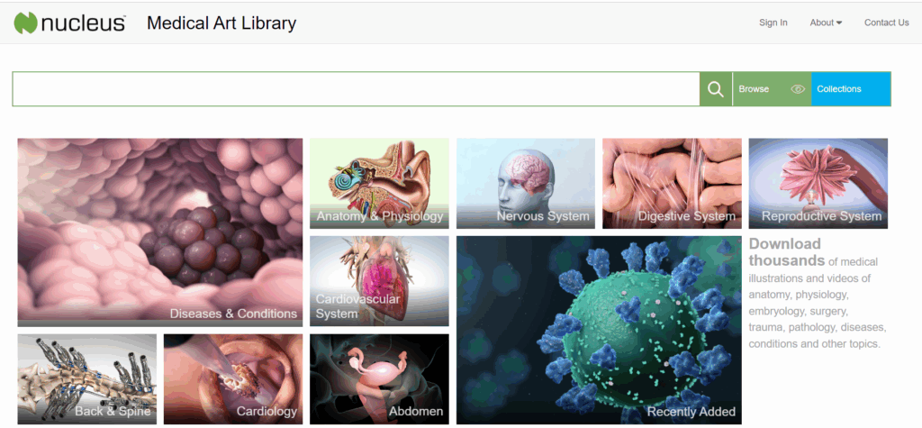 Medical Terminology Animation Library