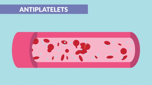 The Power of Science Animation: Exploring the Best Examples