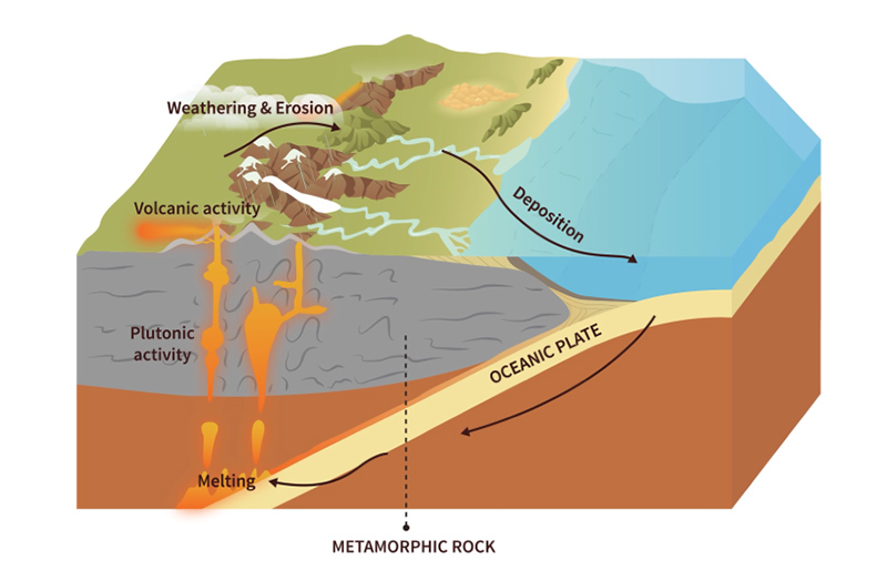 eLearning Content Curation: A Guide for Beginners in 2025 12 F.Learning Studio eLearning Content Curation Services