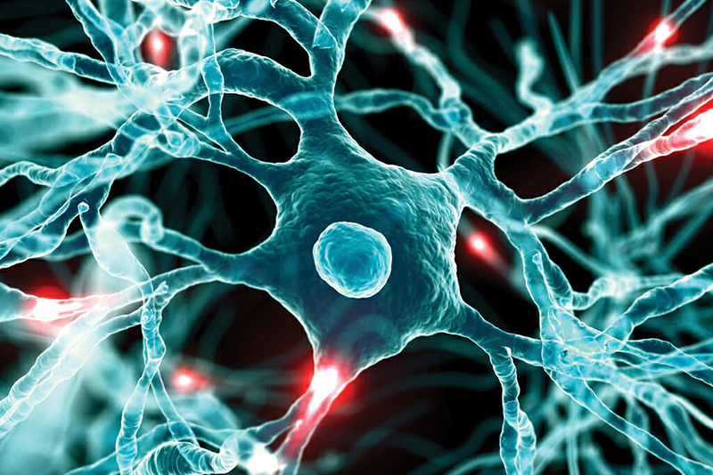 MOA Videos: 9 Examples that Enhance Healthcare Education