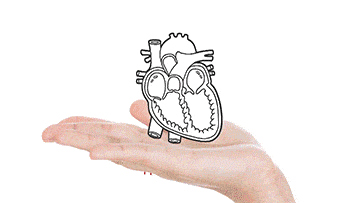 image 7 Animation Cost Calculator: Get A Draft Quote for Your Project